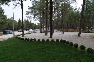Hakkımızda